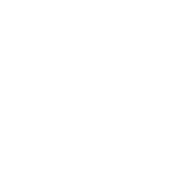 Google Plus icon