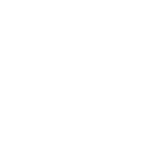 LinkedIn icon